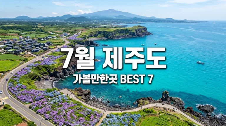 7월 제주도 가볼만한곳 추천 BEST 7 | 수국 명소부터 실내 코스까지