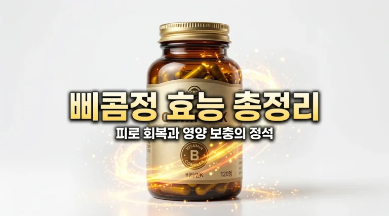 삐콤정 효능 부작용 완벽 정리, 만성 피로 탈출을 위한 복용법과 가격 정보