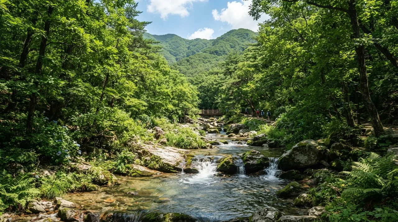 칠갑산자연휴양림, 여름 휴가 전 꼭 알아야 할 핵심 요약