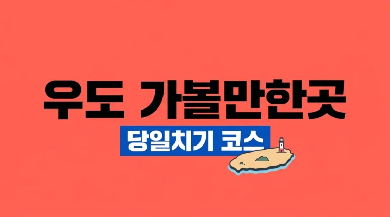우도 가볼만한곳 완벽 정리! 배시간부터 전기차 코스까지