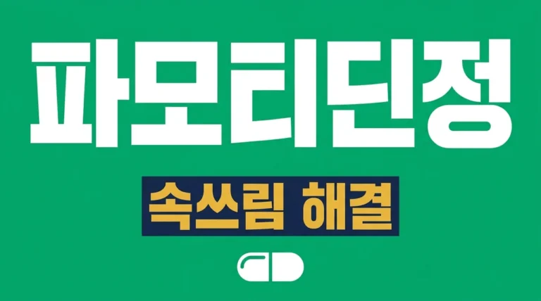 파모티딘정 효능 부작용 복용법, 역류성 식도염 속쓰림 완벽 가이드