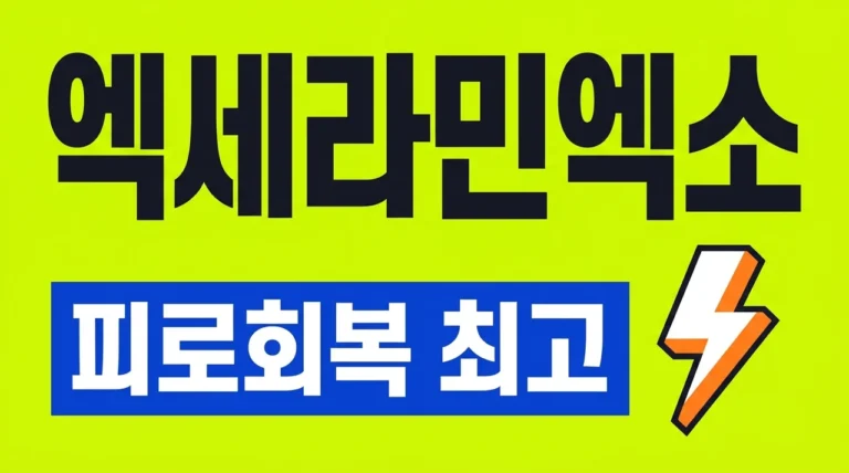 엑세라민엑소 효능 가격 부작용 완벽정리! 피로 회복의 끝판왕 가이드