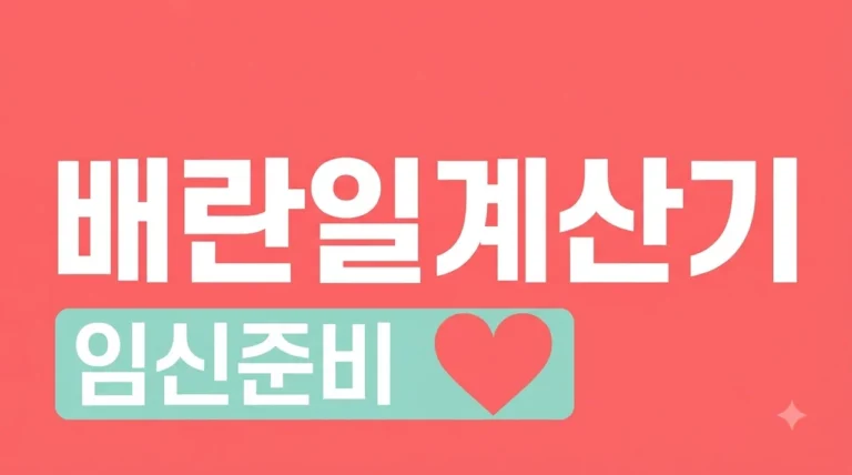 배란일계산기 사용법과 가임기 증상! 임신 확률 높이는 7가지 꿀팁