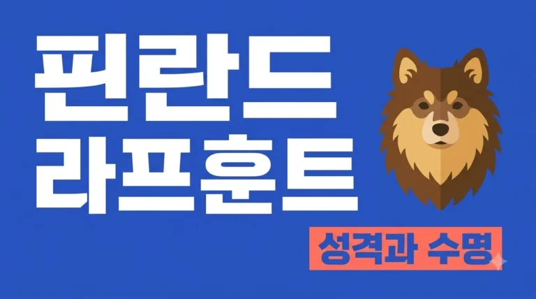 핀란드 라프훈트 성격 수명 분양가 총정리: 순둥이 썰매견 매력 5가지