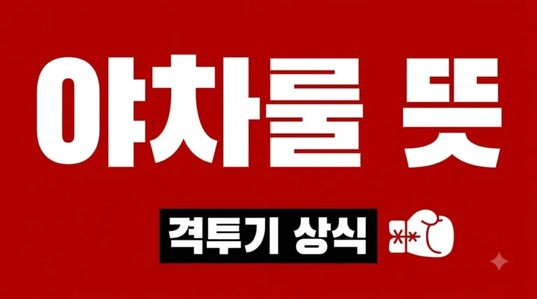 야차룰 뜻 완벽 정리! 유튜브 핫한 격투기 유래와 규칙 총정리