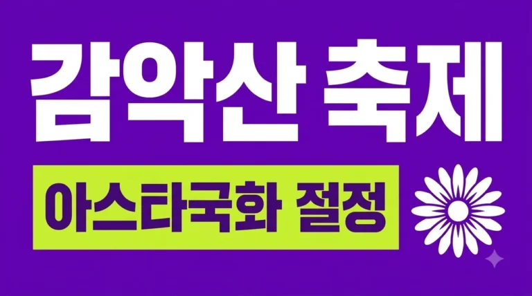 거창 감악산 축제 2026 일정 주차 명소 아스타국화 절정 시기 완벽 가이드