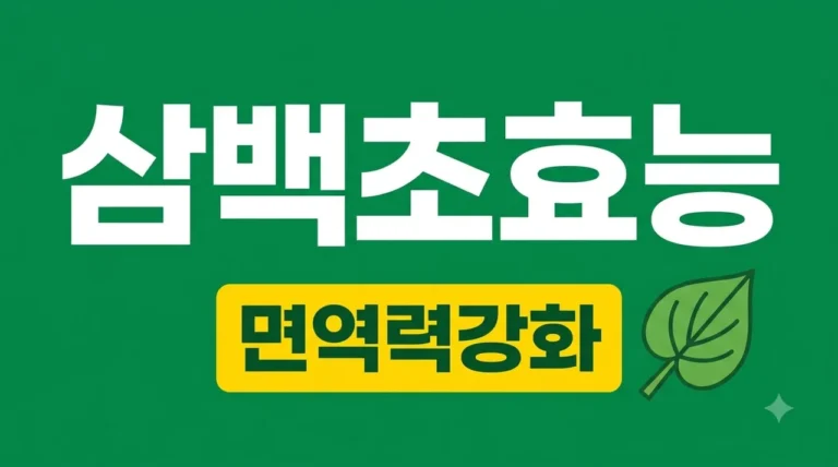 삼백초효능 7가지와 부작용 | 먹는 법 및 보관 팁 완벽 정리