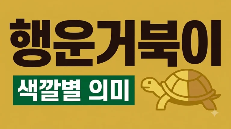 행운거북이 색깔 의미 총정리! 금색 분홍색 등 나에게 맞는 복 찾기