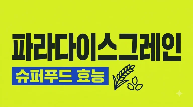 파라다이스그레인 효능 부작용 및 2026년 최신 섭취 가이드