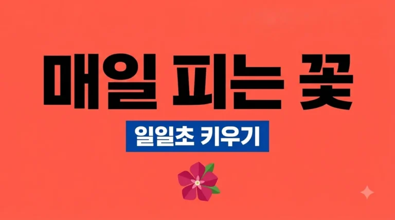 일일초 키우기: 매일 꽃 피우는 관리법, 물주기, 월동 팁 완벽 가이드